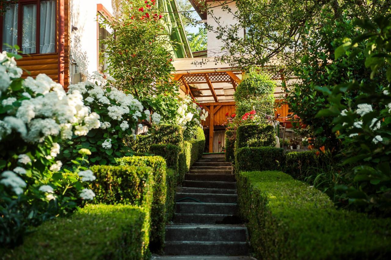 Hotel Casa Edy Sovata Exterior foto