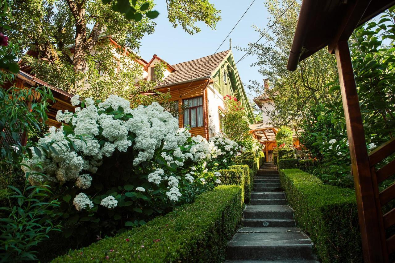 Hotel Casa Edy Sovata Exterior foto
